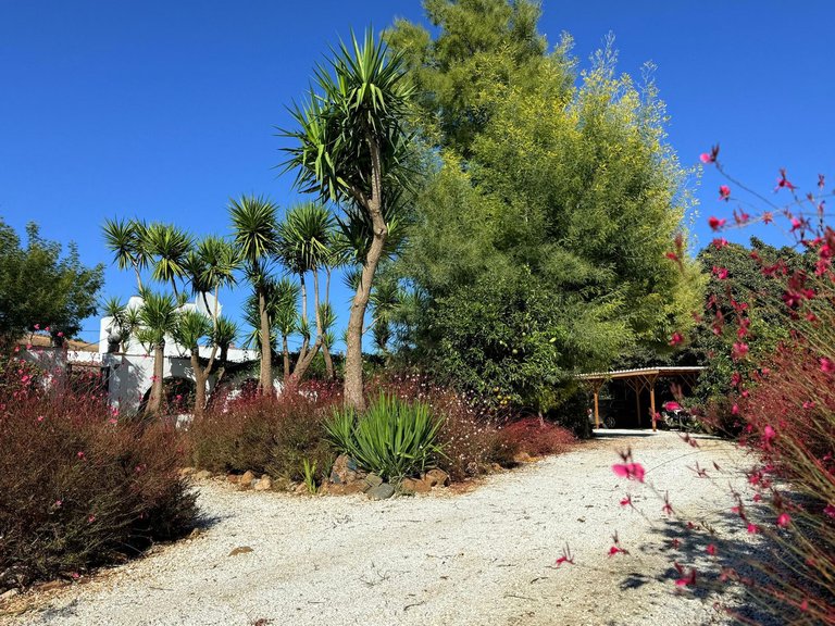 Villa for Sale in Coín, Malaga 59