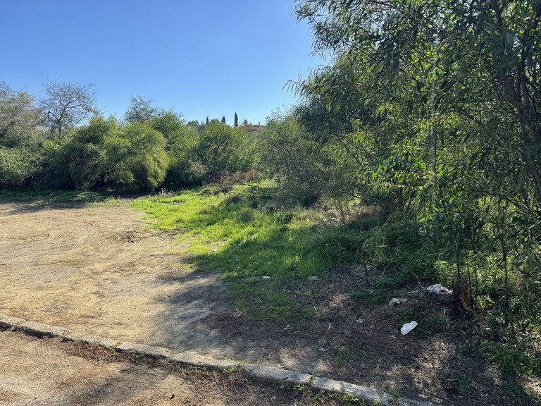 Plot for Sale in Elviria, Malaga 2