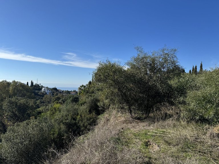 Plot for Sale in Elviria, Malaga 5