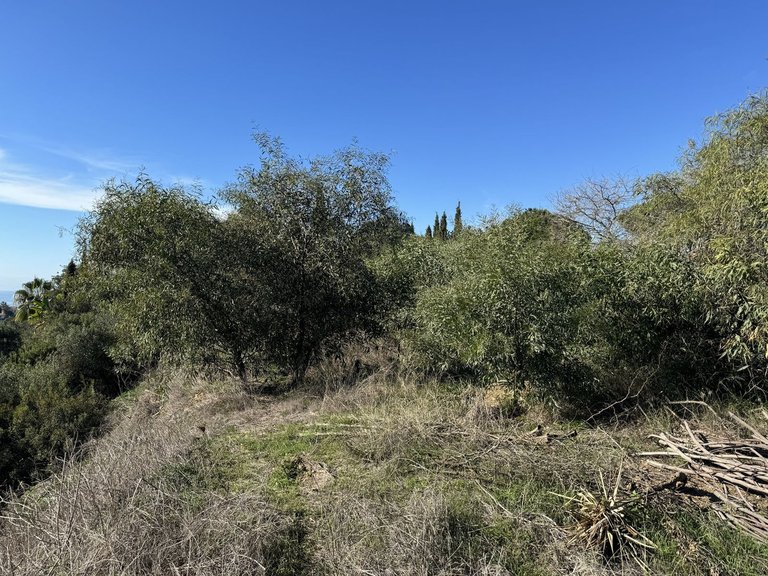 Plot for Sale in Elviria, Malaga 6