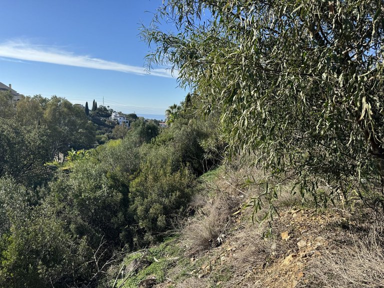 Plot for Sale in Elviria, Malaga 8