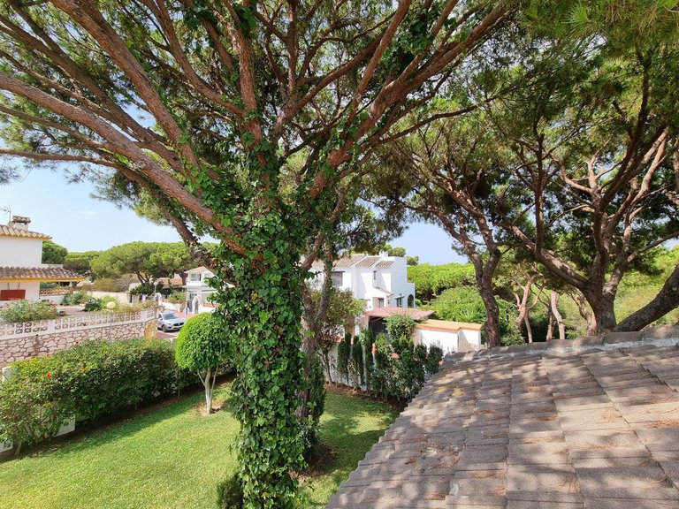 Villa for Sale in Calahonda, Malaga 20