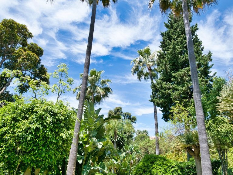 Apartment for Sale in Reserva De Marbella, Malaga 16