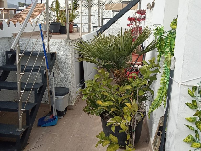 Villa for Sale in Estepona, Malaga 10