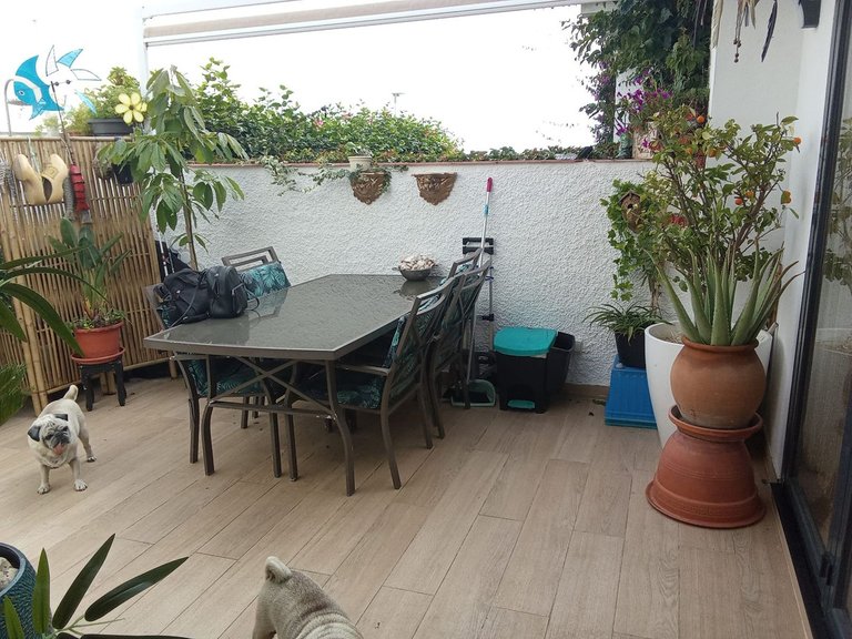 Villa for Sale in Estepona, Malaga 9