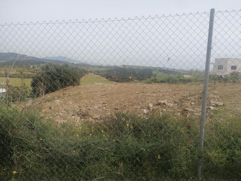 Plot for Sale in Valle Romano, Malaga 5