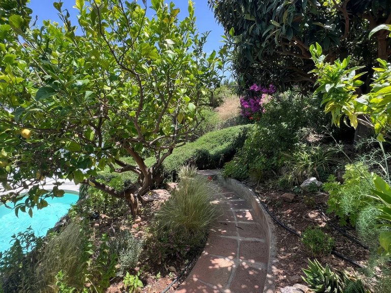 Villa for Sale in Alhaurín El Grande, Malaga 34