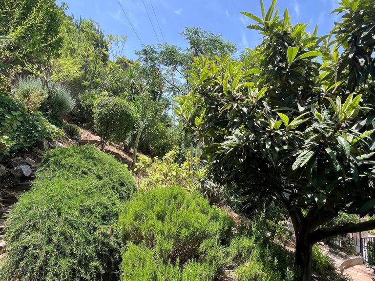 Villa for Sale in Alhaurín El Grande, Malaga 37