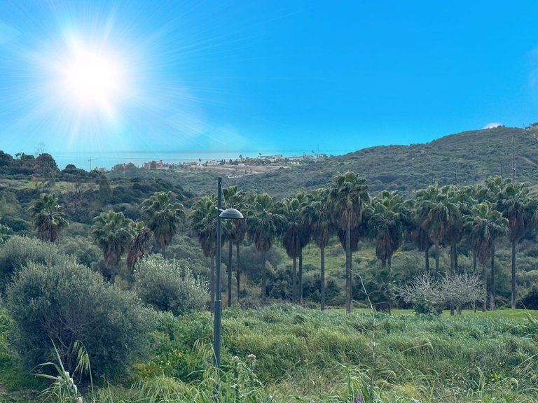 Plot for Sale in Estepona, Malaga 10
