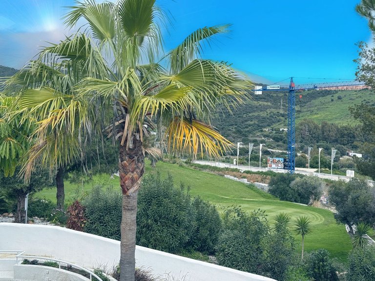Plot for Sale in Estepona, Malaga 11