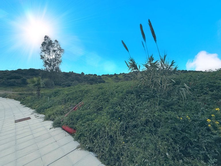 Plot for Sale in Estepona, Malaga 3