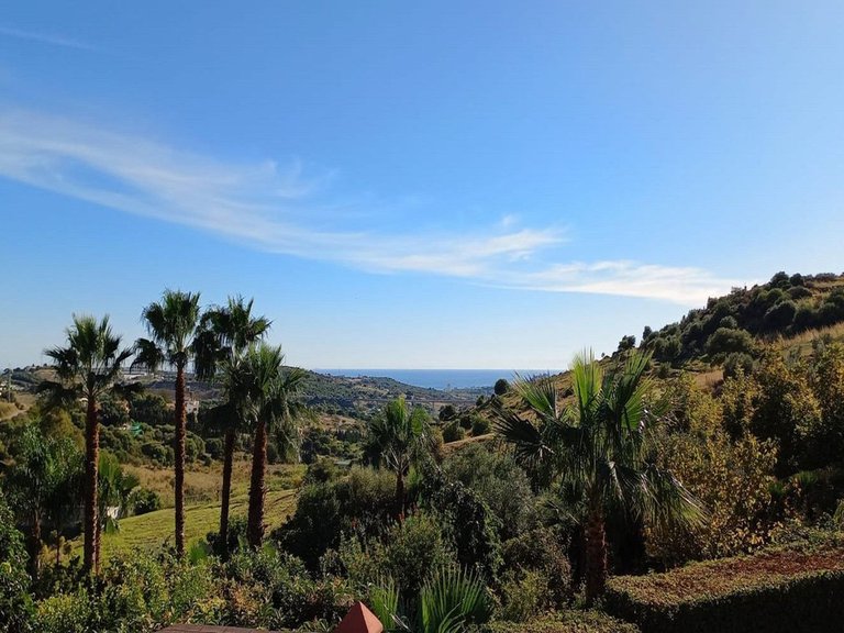 Villa for Sale in Estepona, Malaga 4
