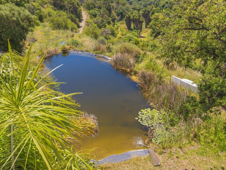 Plot for Sale in Estepona, Malaga 24