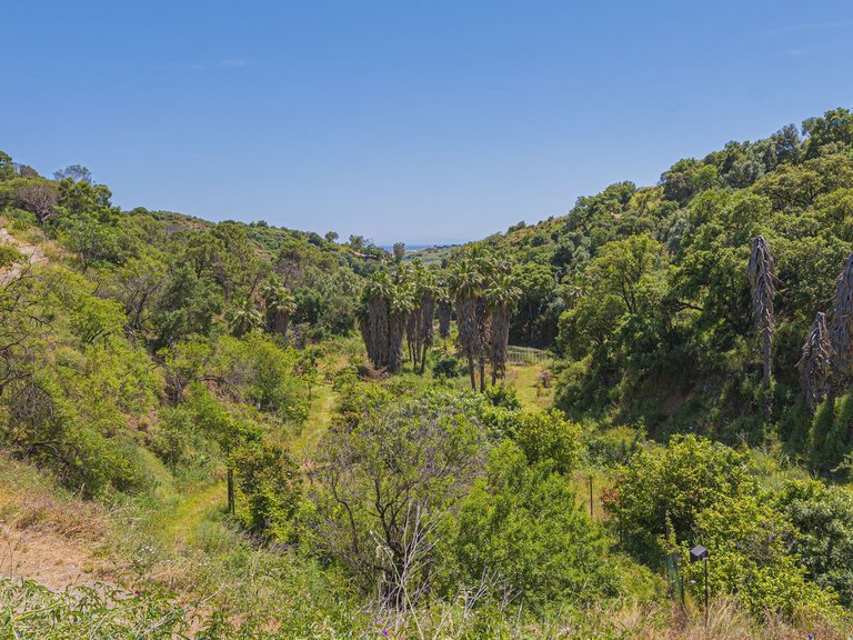 Plot for Sale in Estepona, Malaga 38