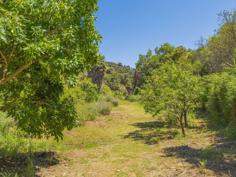 Plot for Sale in Estepona, Malaga 39