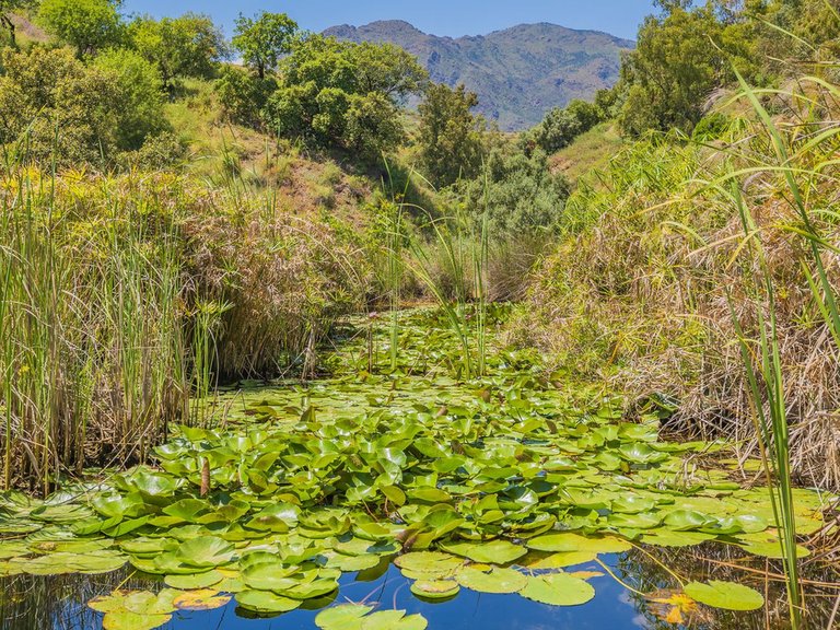 Plot for Sale in Estepona, Malaga 45