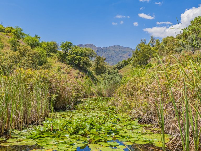 Plot for Sale in Estepona, Malaga 46