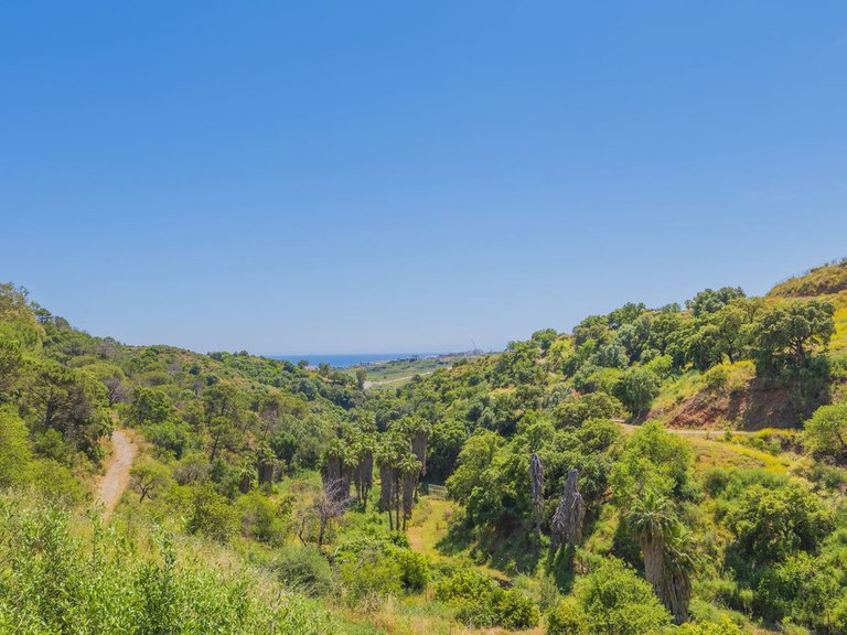 Plot for Sale in Estepona, Malaga 48