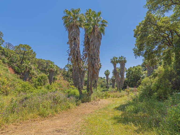 Plot for Sale in Estepona, Malaga 49