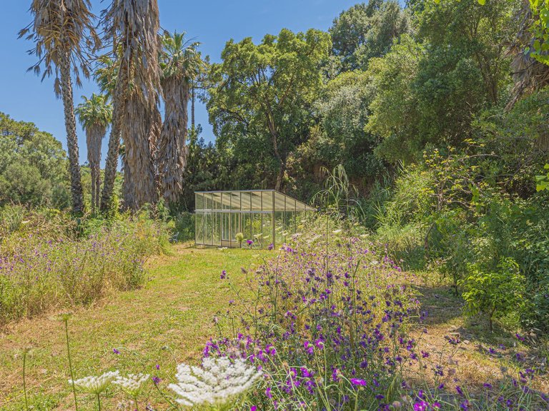 Plot for Sale in Estepona, Malaga 6