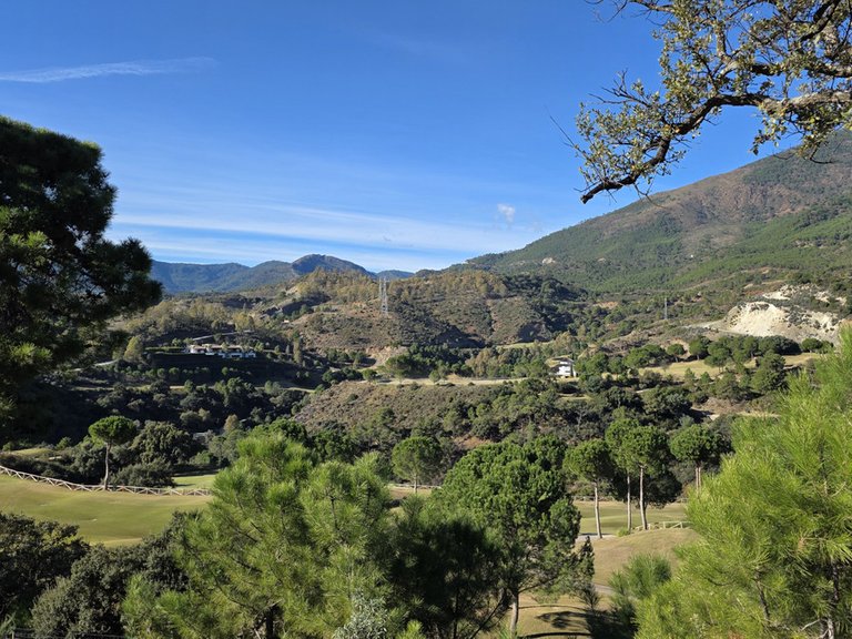 Plot for Sale in La Zagaleta, Malaga 1