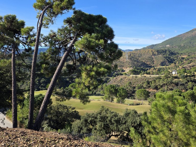 Plot for Sale in La Zagaleta, Malaga 3