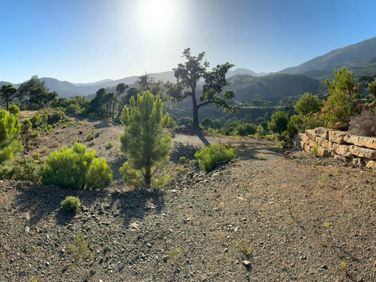 Plot for Sale in La Zagaleta, Malaga 38