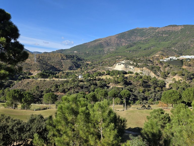 Plot for Sale in La Zagaleta, Malaga 39