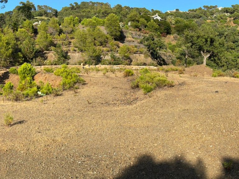 Plot for Sale in La Zagaleta, Malaga 41