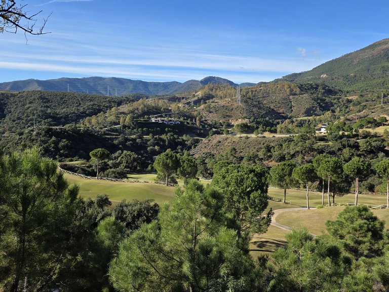Plot for Sale in La Zagaleta, Malaga 5