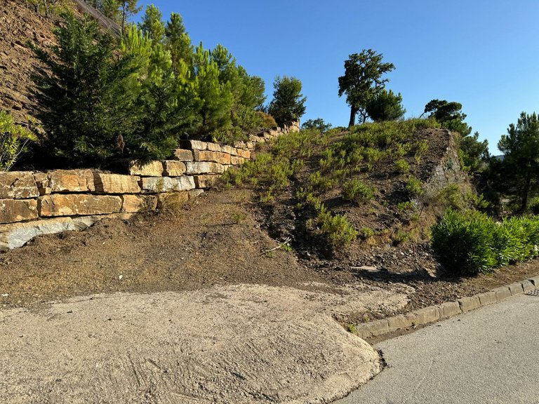 Plot for Sale in La Zagaleta, Malaga 9