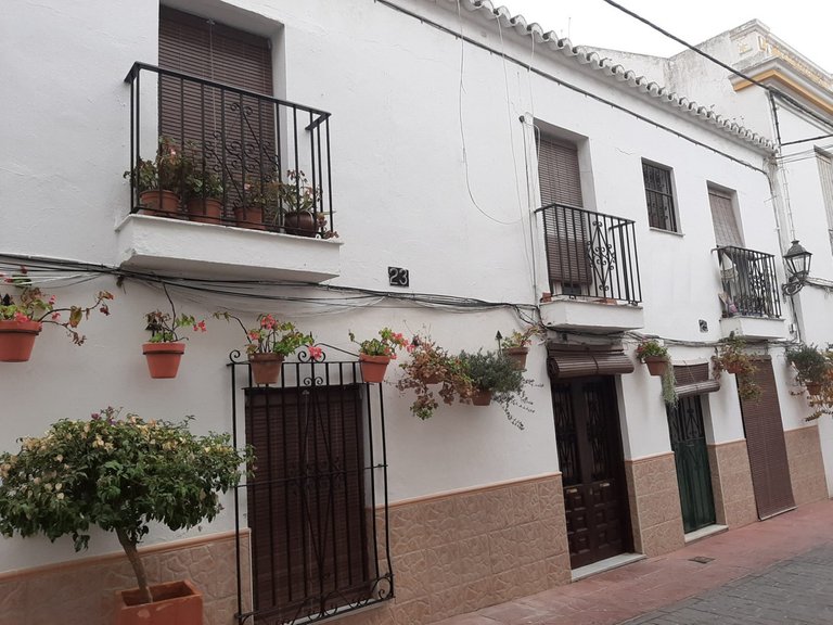 Plot for Sale in Estepona, Malaga 2