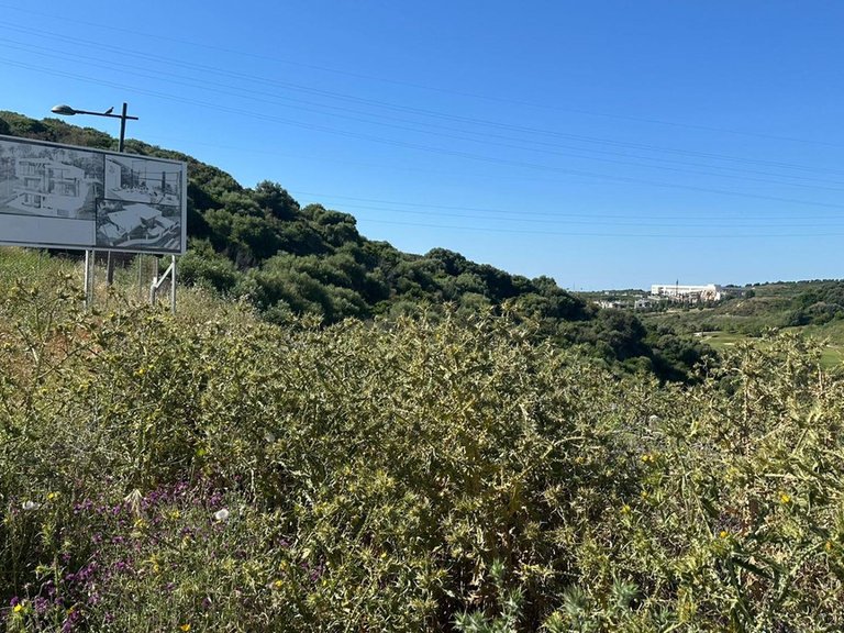 Plot for Sale in Valle Romano, Malaga 2
