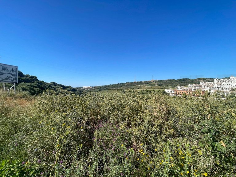 Plot for Sale in Valle Romano, Malaga 3