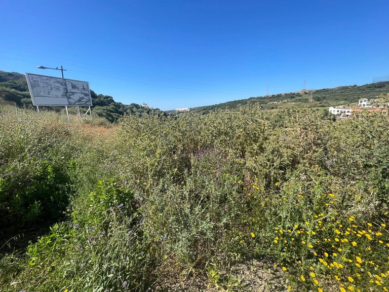 Plot for Sale in Valle Romano, Malaga 4