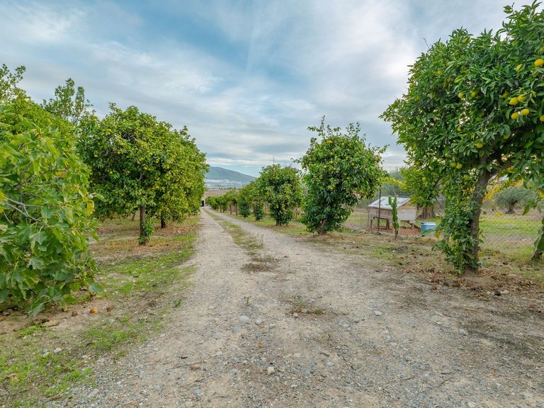 Villa for Sale in Alhaurín El Grande, Malaga 44