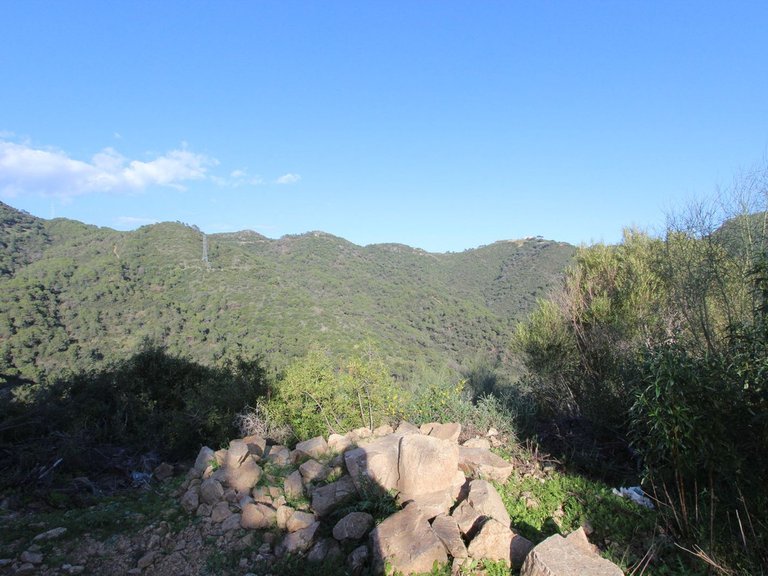 Plot for Sale in Benahavís, Malaga 10