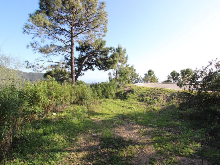 Plot for Sale in Benahavís, Malaga 11