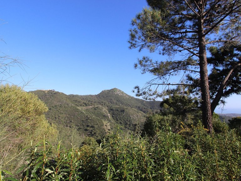 Plot for Sale in Benahavís, Malaga 12