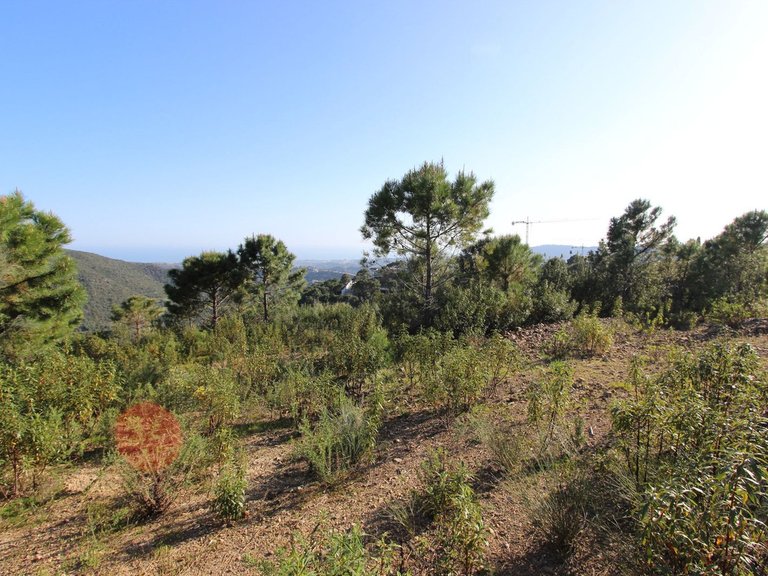 Plot for Sale in Benahavís, Malaga 15