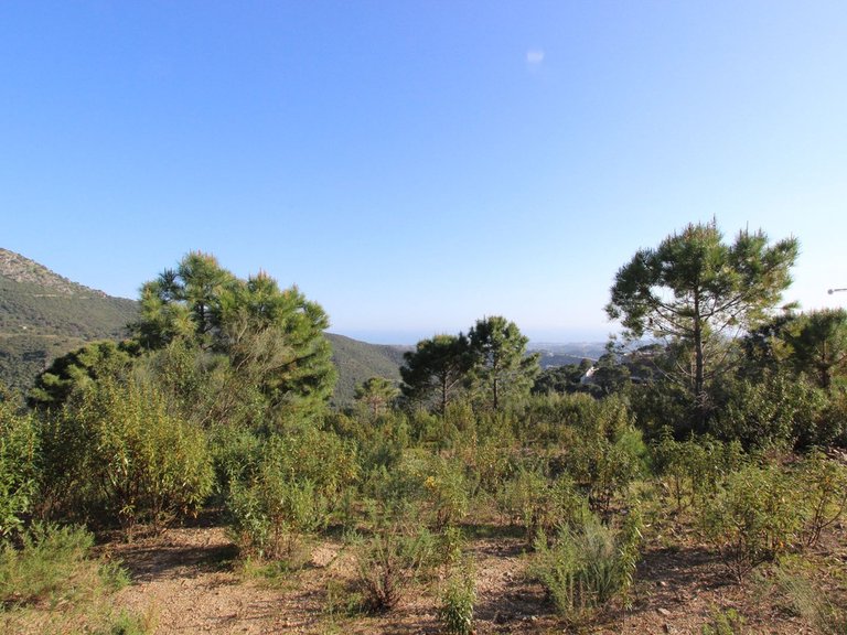 Plot for Sale in Benahavís, Malaga 17