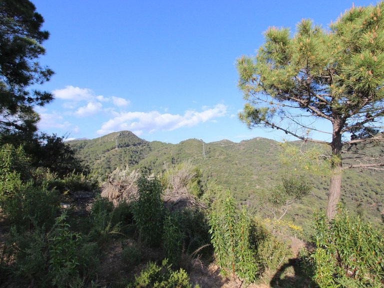 Plot for Sale in Benahavís, Malaga 18