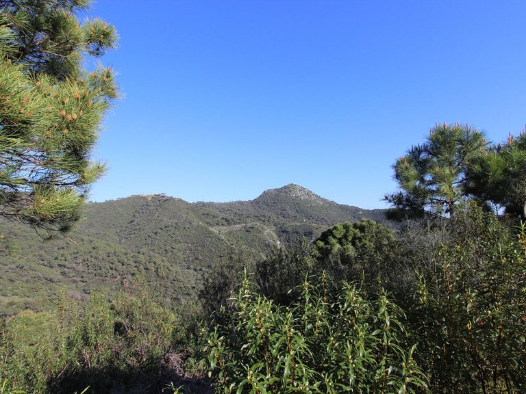 Plot for Sale in Benahavís, Malaga 19