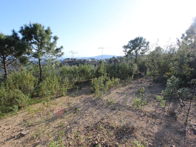 Plot for Sale in Benahavís, Malaga 21