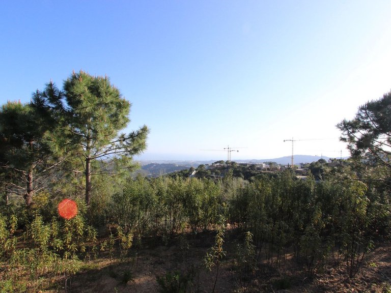 Plot for Sale in Benahavís, Malaga 22