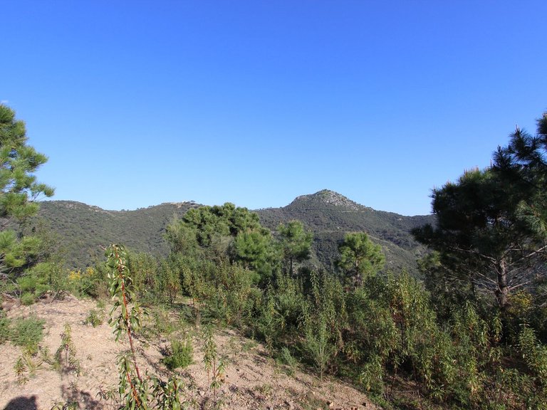 Plot for Sale in Benahavís, Malaga 23
