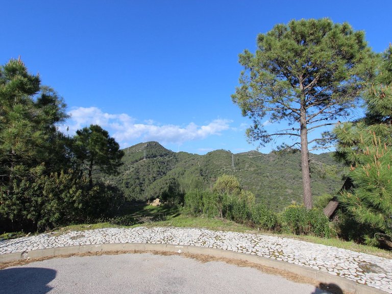 Plot for Sale in Benahavís, Malaga 7