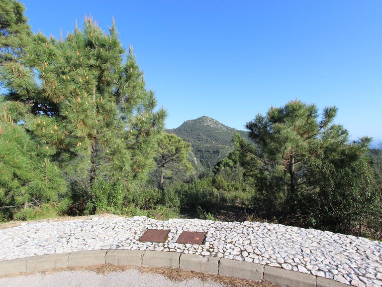 Plot for Sale in Benahavís, Malaga 8