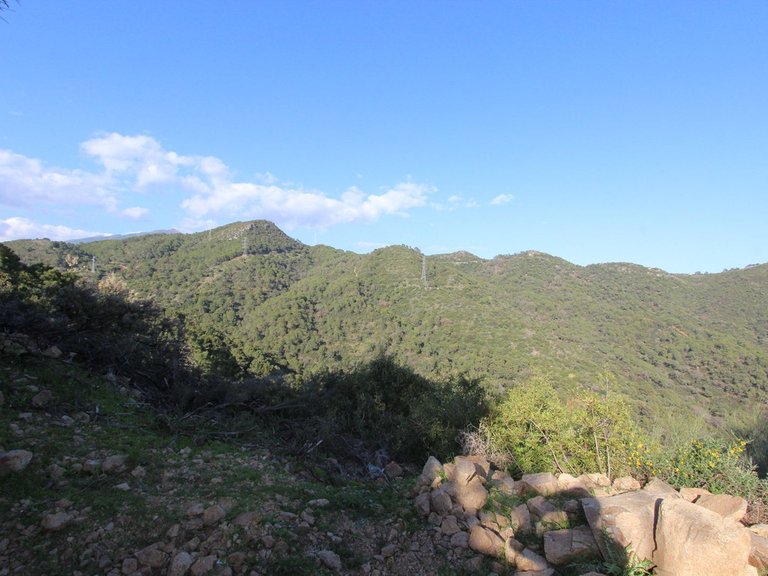 Plot for Sale in Benahavís, Malaga 9