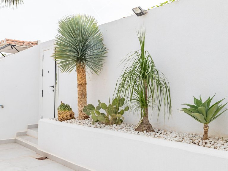 Villa for Sale in Elviria, Malaga 28